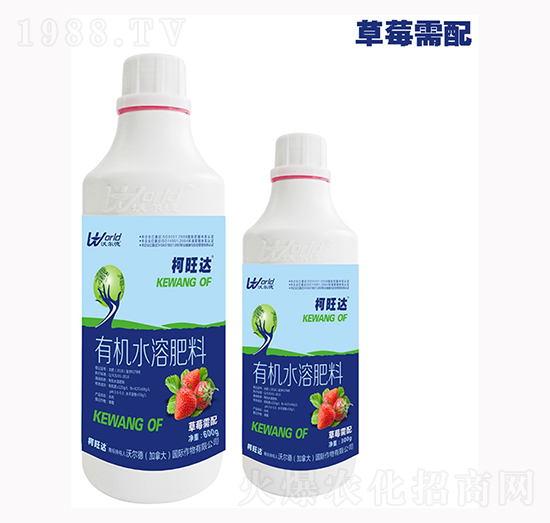 ��ݮ�����~���-�����_-�֠���