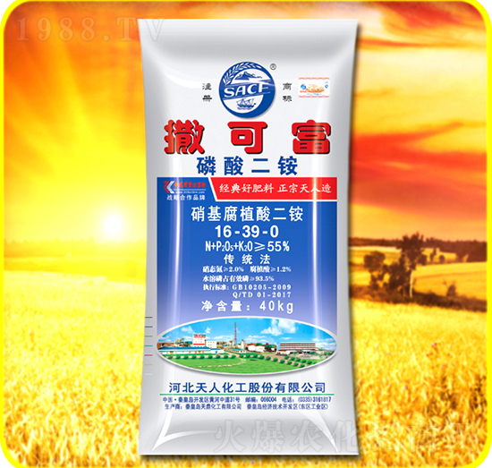 ������@16-39-0-���ɸ�-���˻���