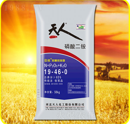 ������@19-46-0-���˻���