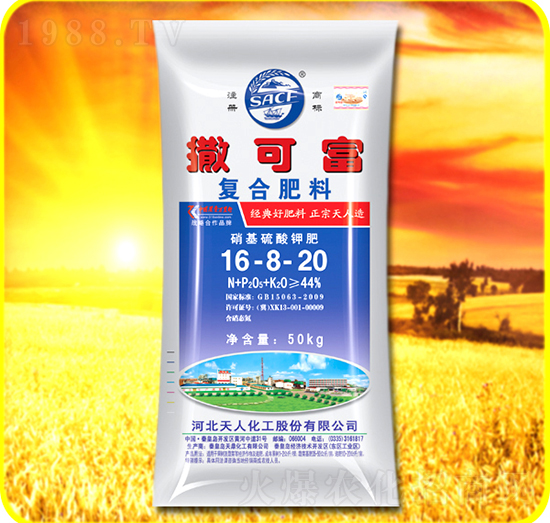 �ͺϷ���16-8-20-���ɸ�-���˻���