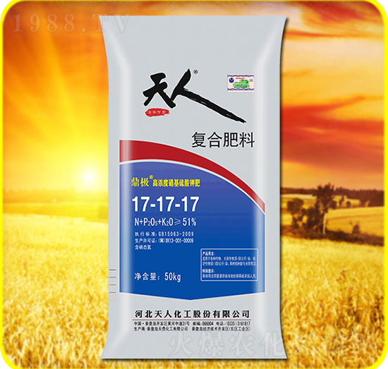 �ͺϷ���17-17-17-���˻���