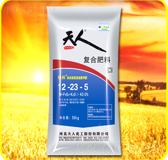 �ͺϷ���12-23-5-���˻���