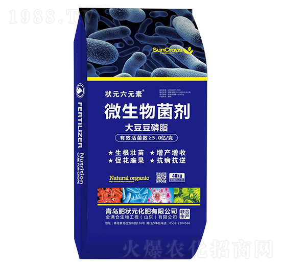 �ʠ�Ԫ-�󶹶���֬����-��Ԫ��Ԫ��