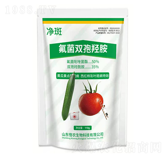 �����p���u��-����-�ΐ��r�I(y��)