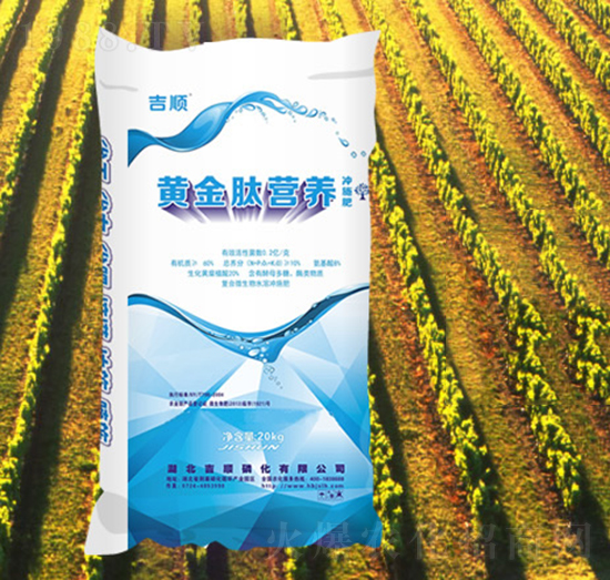 �S���ĠI�B(y��ng)�_ʩ��-���