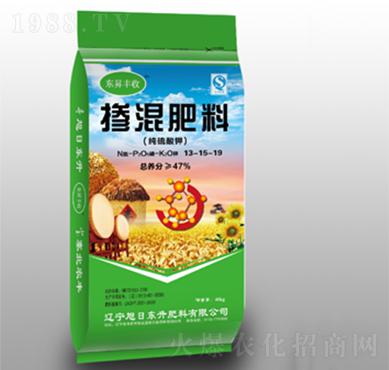 �������13-15-19-�|�N�S��-���Ֆ|��