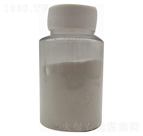 ���������-�����Ƽ�