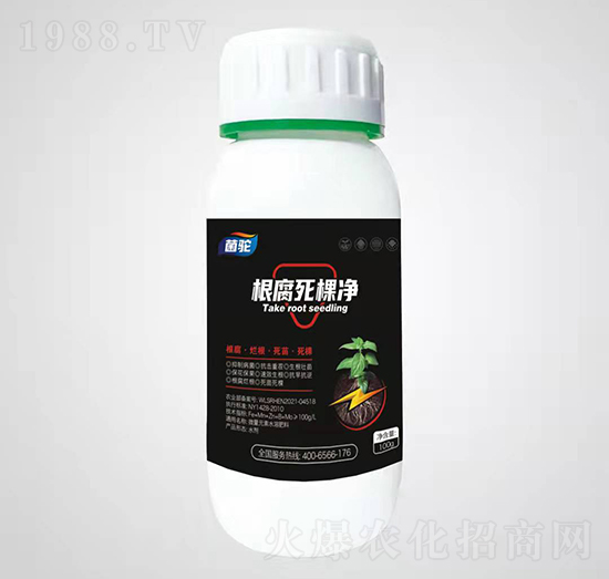 �������Ã�-���-�殀������