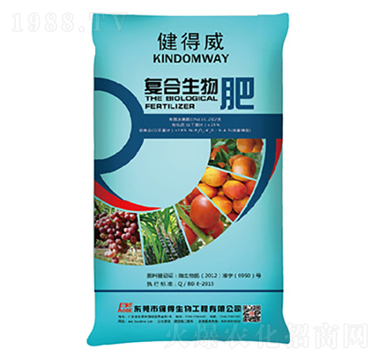 �������ͺ������-��������