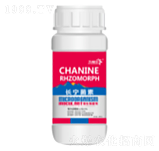 �L������-�帣��