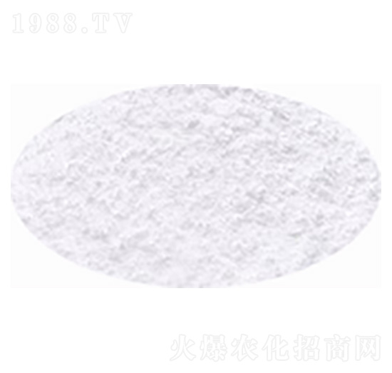 �����V�ηۡ�����-�۸�˼�_