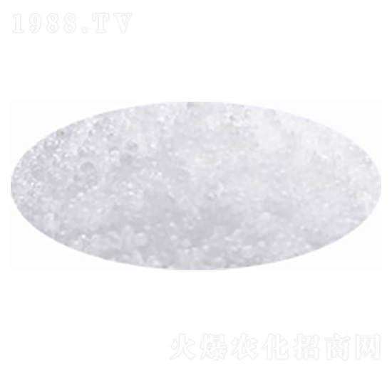 ���أ��w�����w����-�۸�˼�_