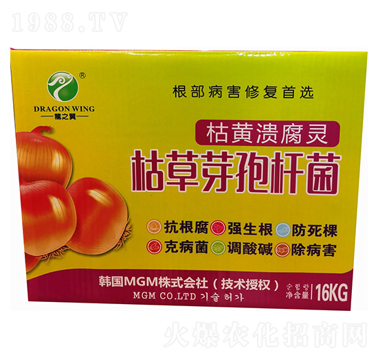 ���S�����`-ҫ���Ƽ�