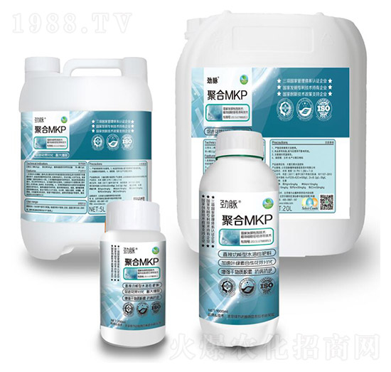 �ۺ�MKP�M��-���}