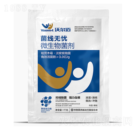 ΢�������-�����o�n-�֠��~