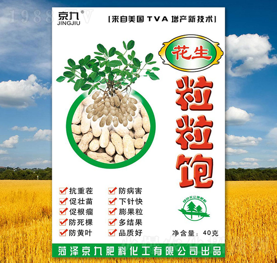 ���������-����