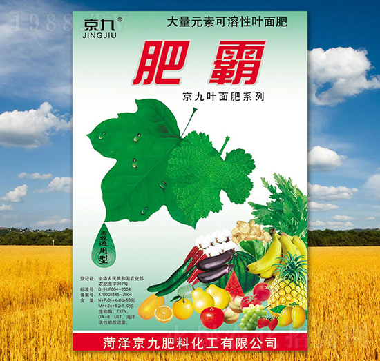 �ʰ�-����