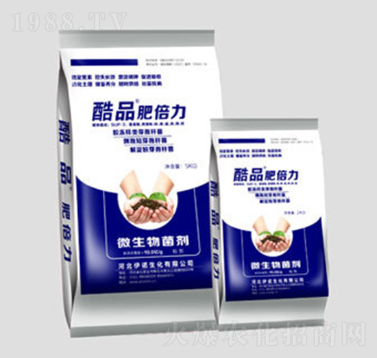 ��Ʒ�ʱ���-�ֵ����Z