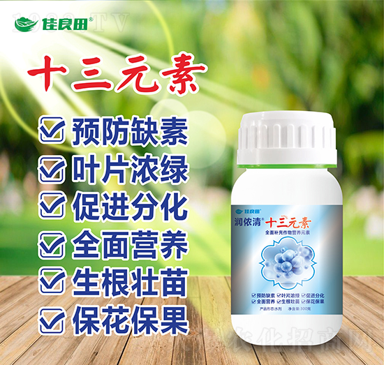 ʮ��Ԫ��-��(r��n)�z��