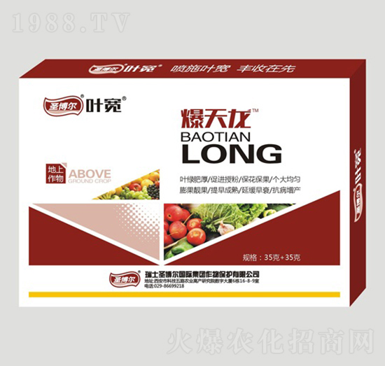 ��������ñ�����-�~��-ʥ��������