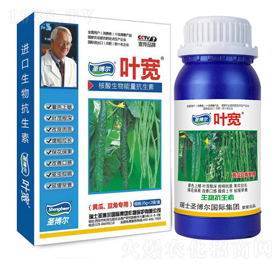 �S�϶��ǌ����~���-��������ø�T����-�~��-ʥ��������