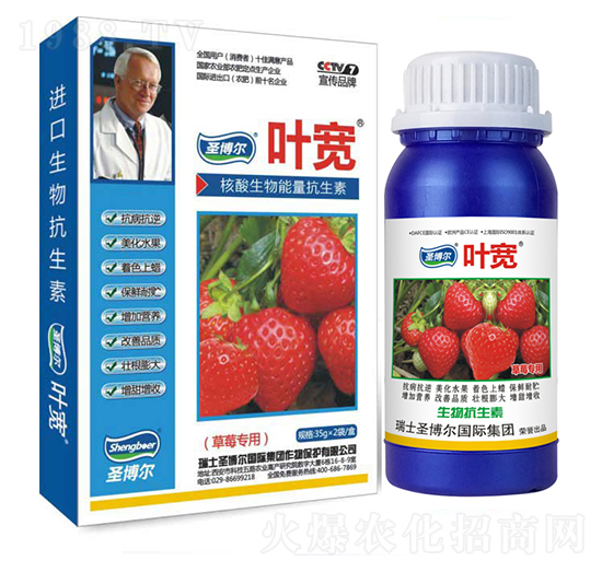 ��ݮ�����~���-��������ø�T����-�~��-ʥ��������