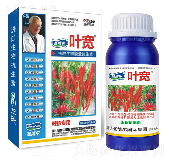 ���������~���-��������ø�T����-�~��-ʥ��������