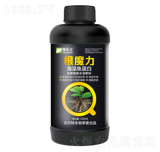 海藻魚(yú)蛋白-根魔力-沃爾特