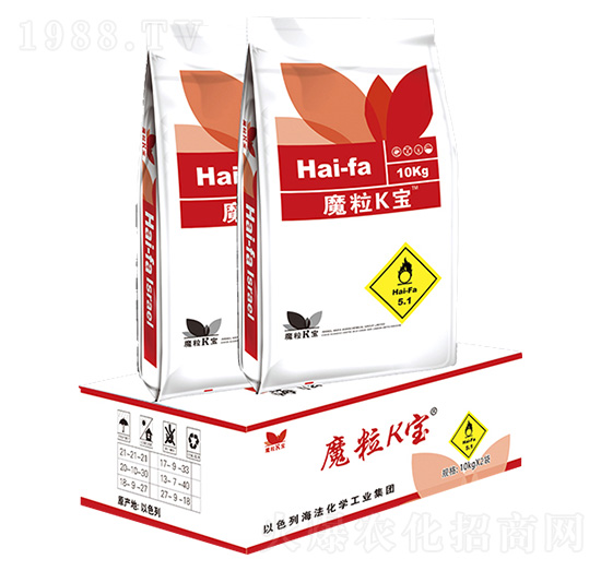 ħ��K��-ʥ��˹