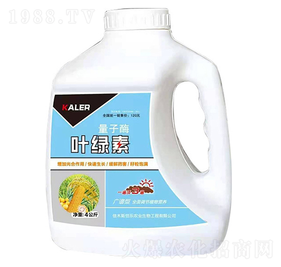 �~�G��-����ø-���r(n��ng)�I(y��)