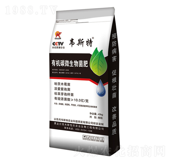 �ЙC(j��)̼΢�������-�f˹��-��(l��)�r(n��ng)�I(y��)