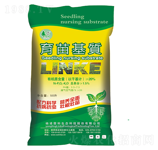 ������|-�����ؿ�