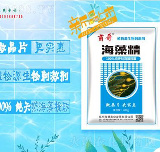 ���徫-����