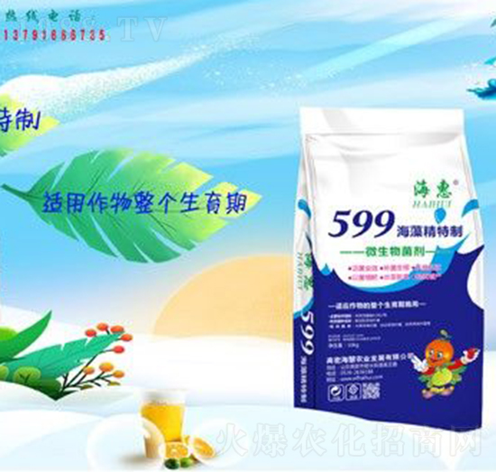 599���徫����-����