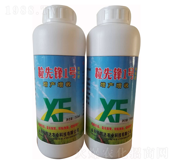 粒先鋒1號-億輝達(dá)