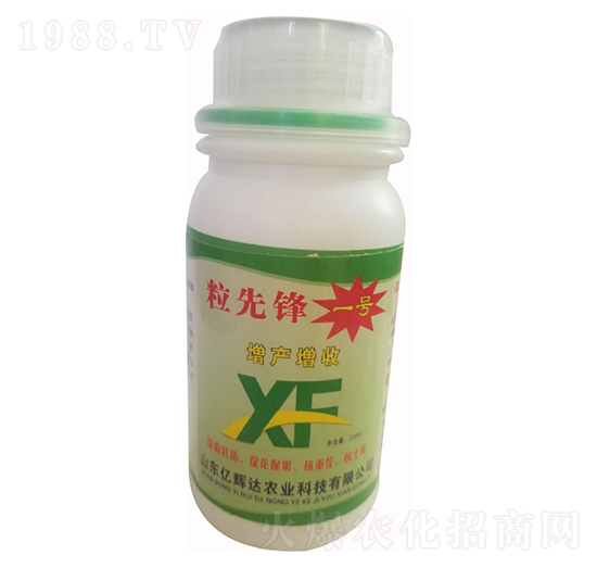 粒先鋒1號增產(chǎn)增收-億輝達(dá)