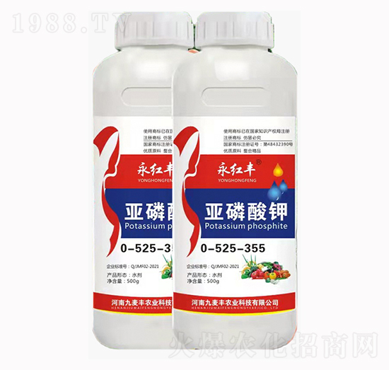 ���t�S�������0-525-355-�����S