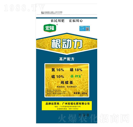 ����(d��ng)��-�������