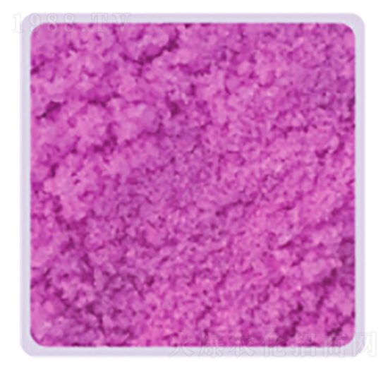 ����⛏ͺϷ�19-19-19+TE-���P����