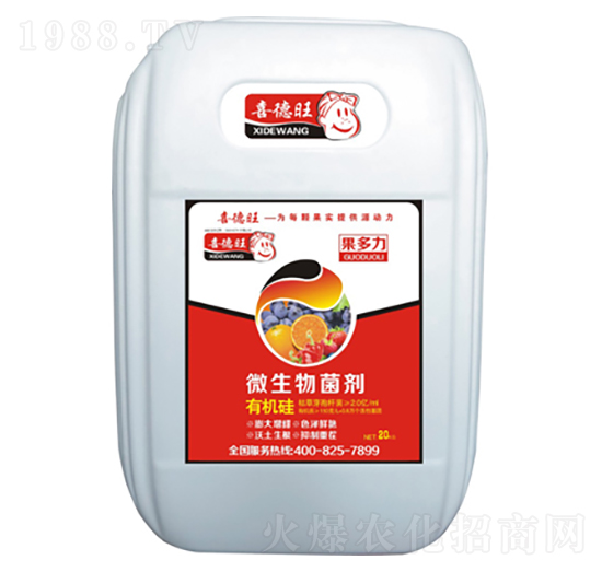 ΢�������-������-ϲ����