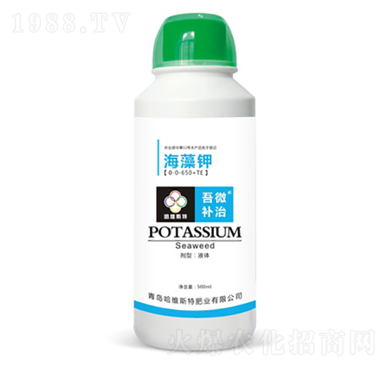 �����-��΢�a(b��)��-���S˹�طʘI(y��)