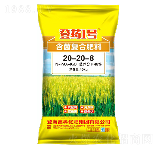 ��(f��)�Ϸ���20-20-8-��ˎ1̖(h��o)-�Ƿ�