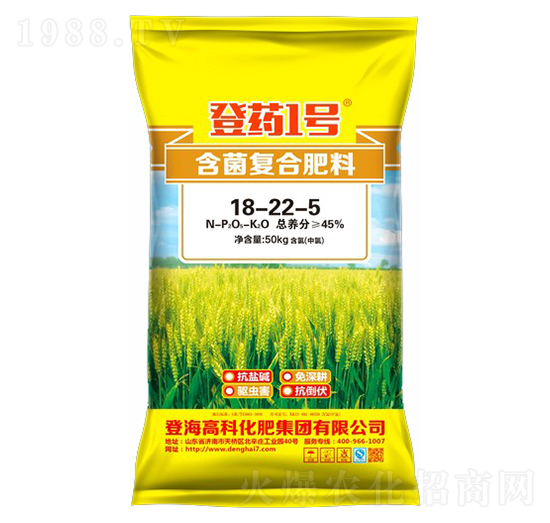 �����ͺϷ���18-22-5-��ˎ1̖-�Ƿ�