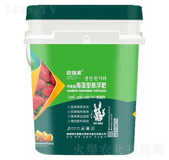 ƽ���ͺ����͑Ҹ���100-100-100+TE+�~����-�W���-ʥ�ɶ�