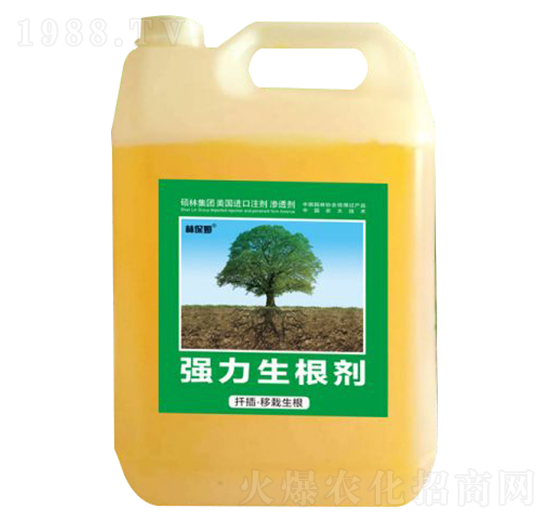 Ǥ�塤����������(qi��ng)��������-�ֱ�ķ-�T�ַ���