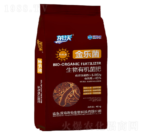 �����ЙC(j��)����-���֡���(l��)��-�����