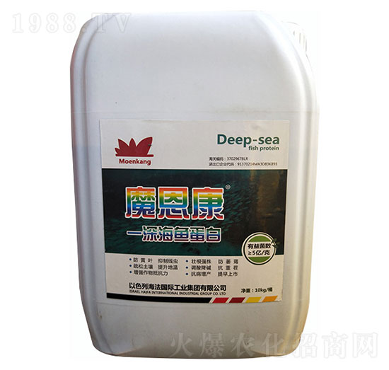 ħ��������~(y��)����-ʥ�ɶ�