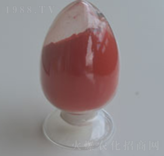 98%�_ʩ��-�����r�I(y��)