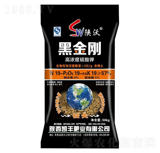 �ߝ�������-�ڽ���-�P�S�ʘI(y��)