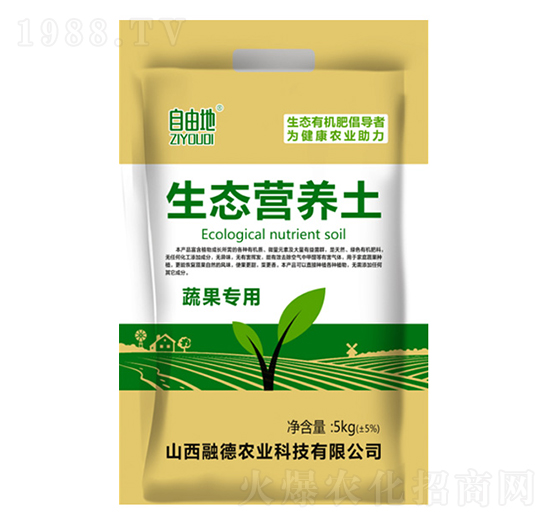 �߹���(zhu��n)�����B(t��i)�I(y��ng)�B(y��ng)��-���ɵ�-�ڵ��r(n��ng)�I(y��)